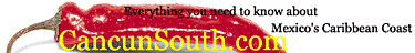 CancunSouth.com